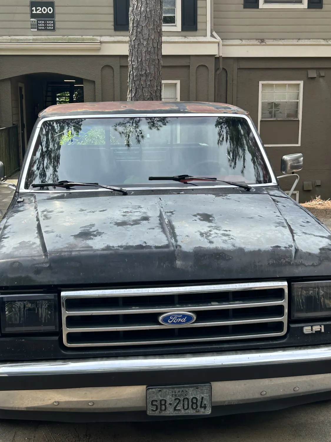 Black pickup truck windshield after replacement, front view