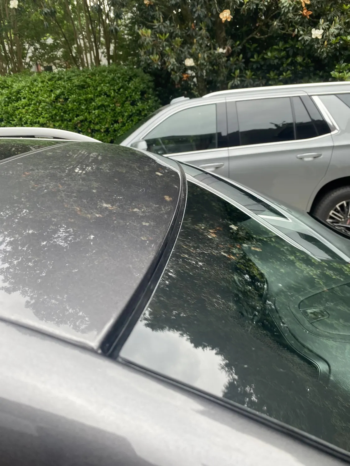 SUV windshield reflecting the sky after replacement